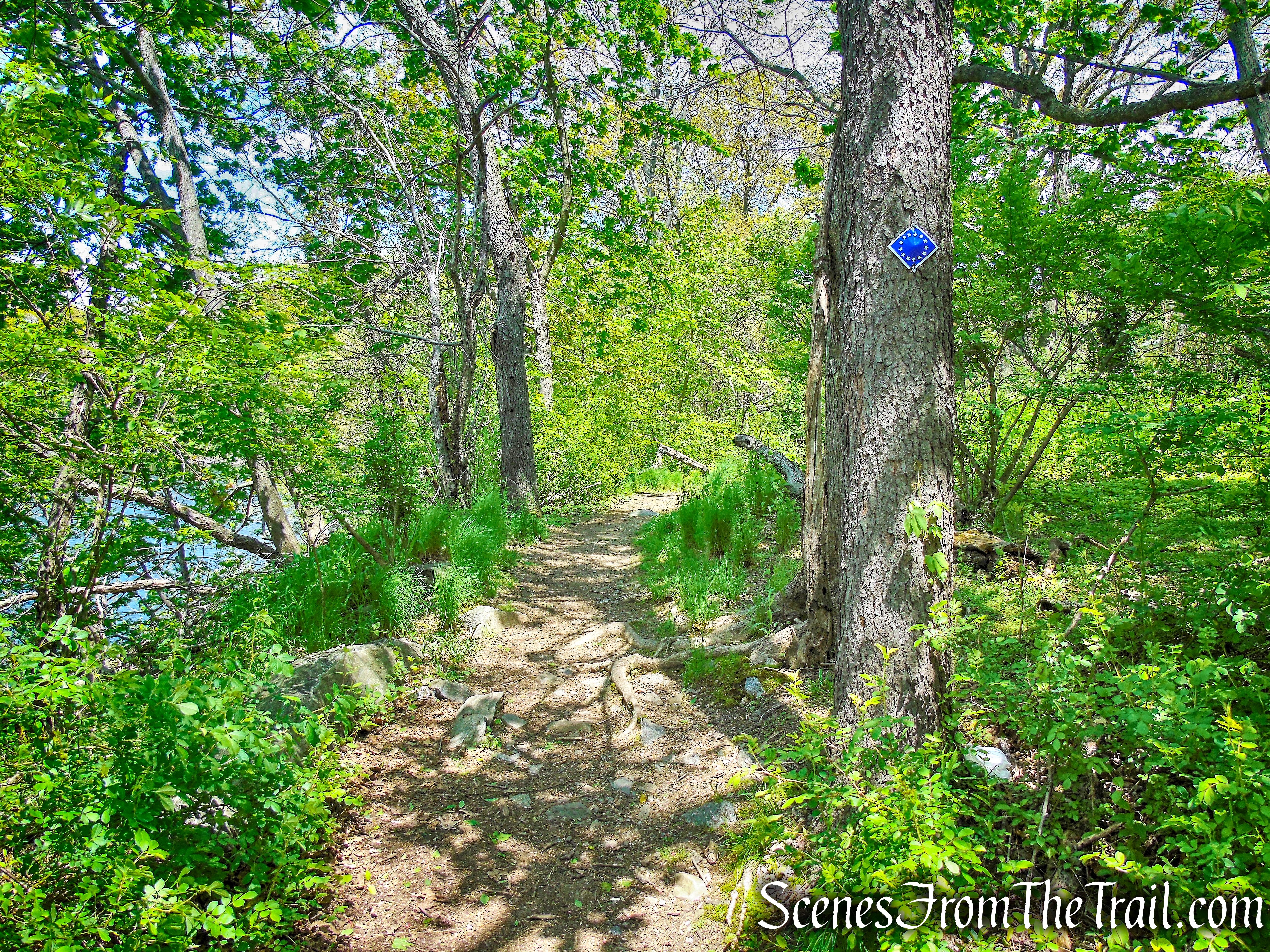 Colonial Greenway - Larchmont Reservoir