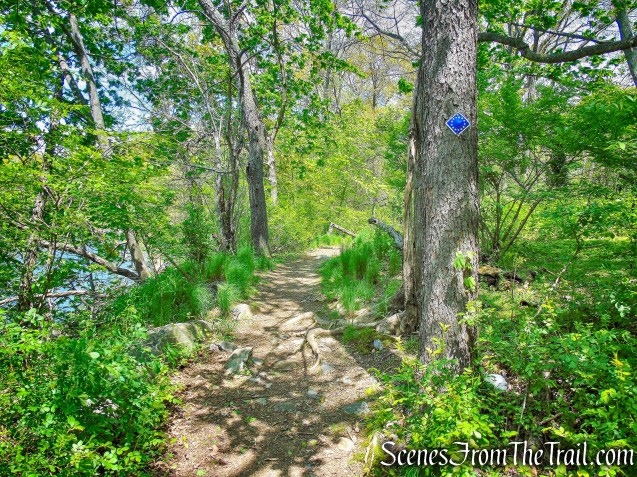 Colonial Greenway - Larchmont Reservoir