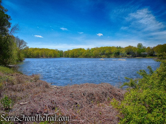 Sheldrake Lake - Larchmont Reservoir