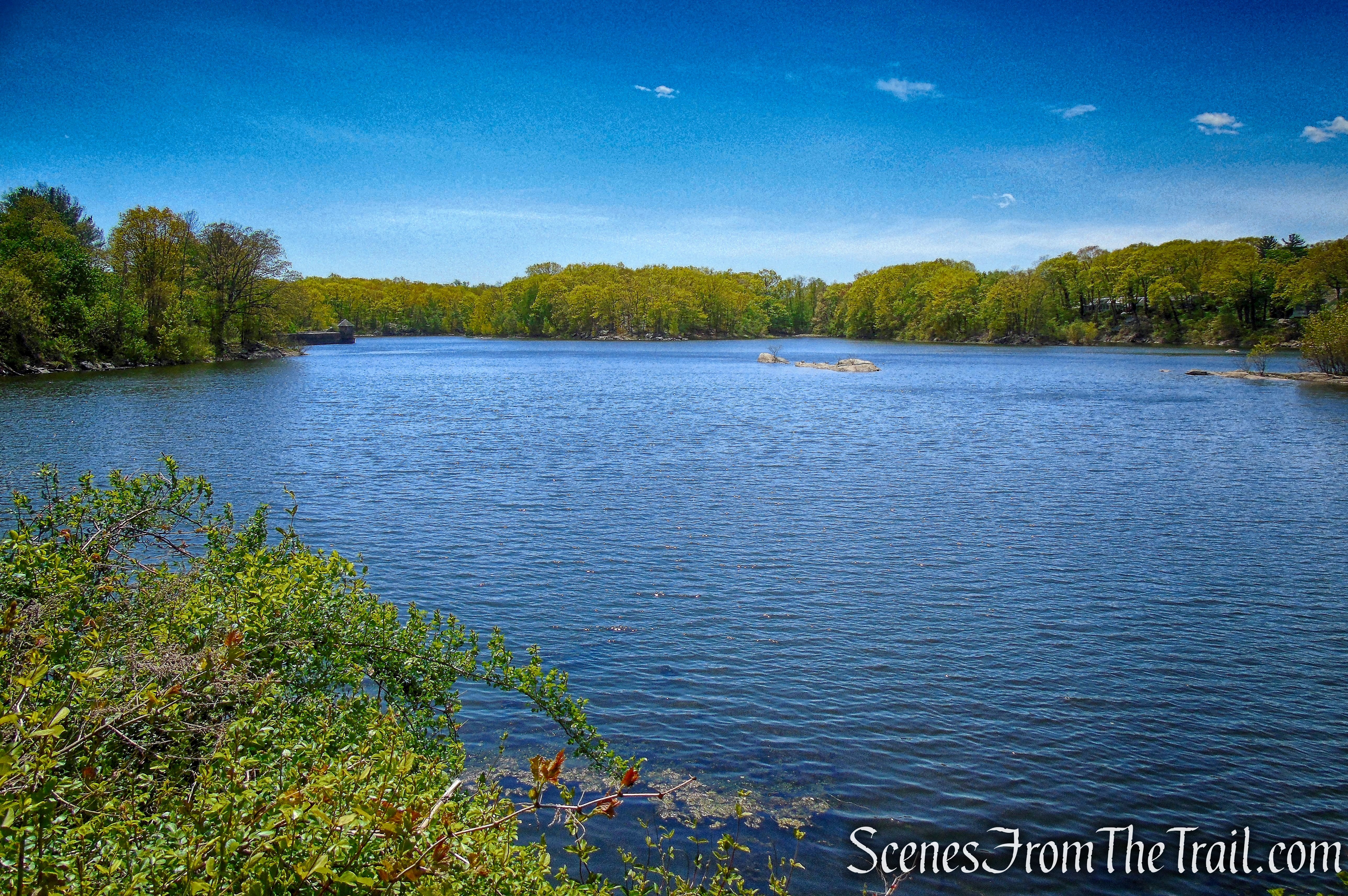 Sheldrake Lake - Larchmont Reservoir