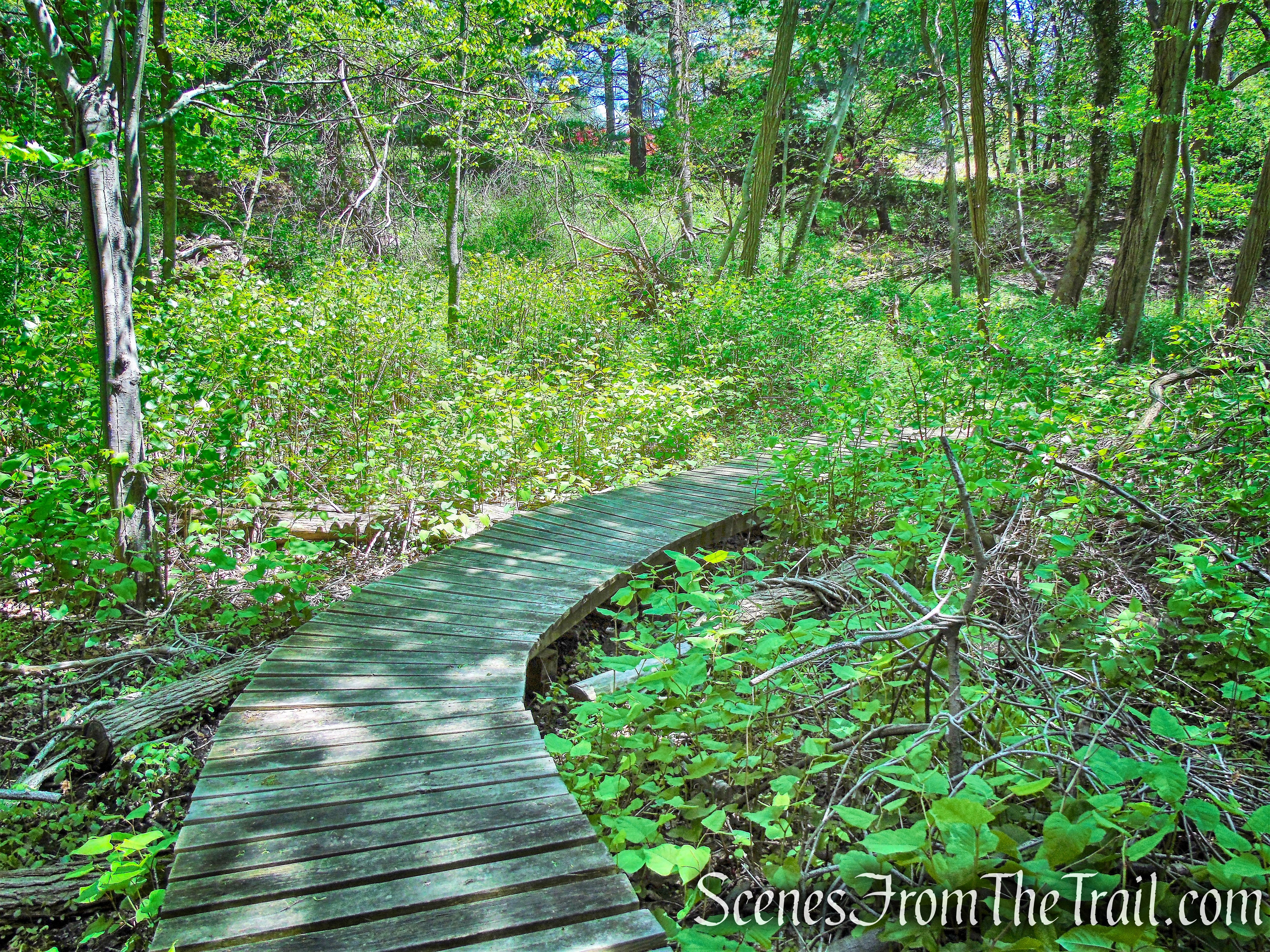Cliff Emanuelson Trail - Larchmont Reservoir