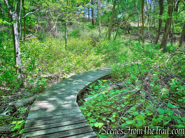 Cliff Emanuelson Trail - Larchmont Reservoir