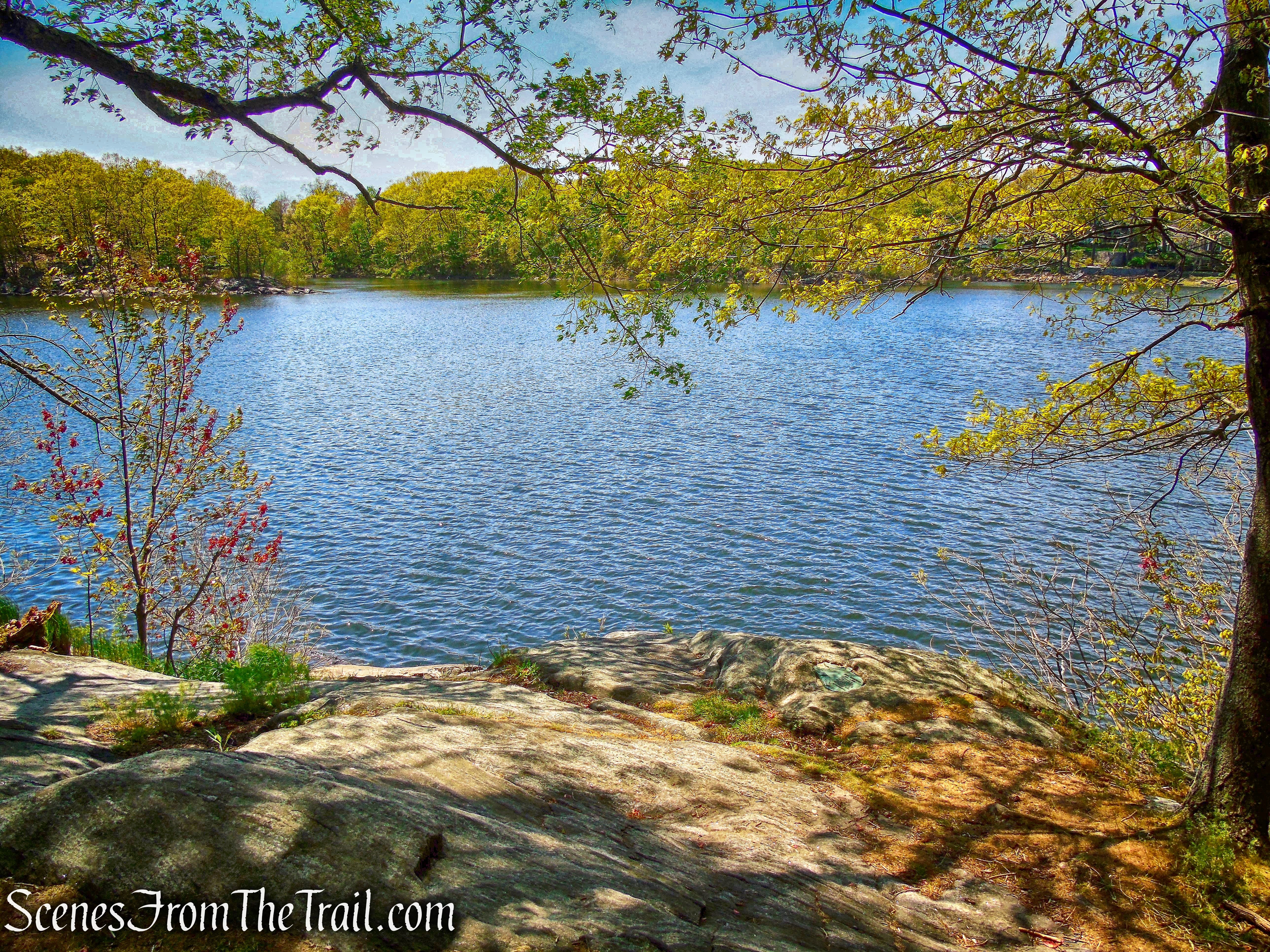 Sheldrake Lake - Larchmont Reservoir