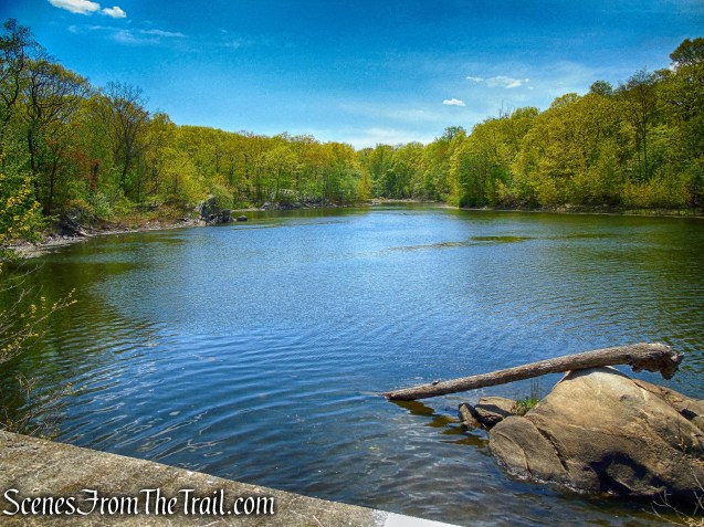 Sheldrake Lake - Larchmont Reservoir
