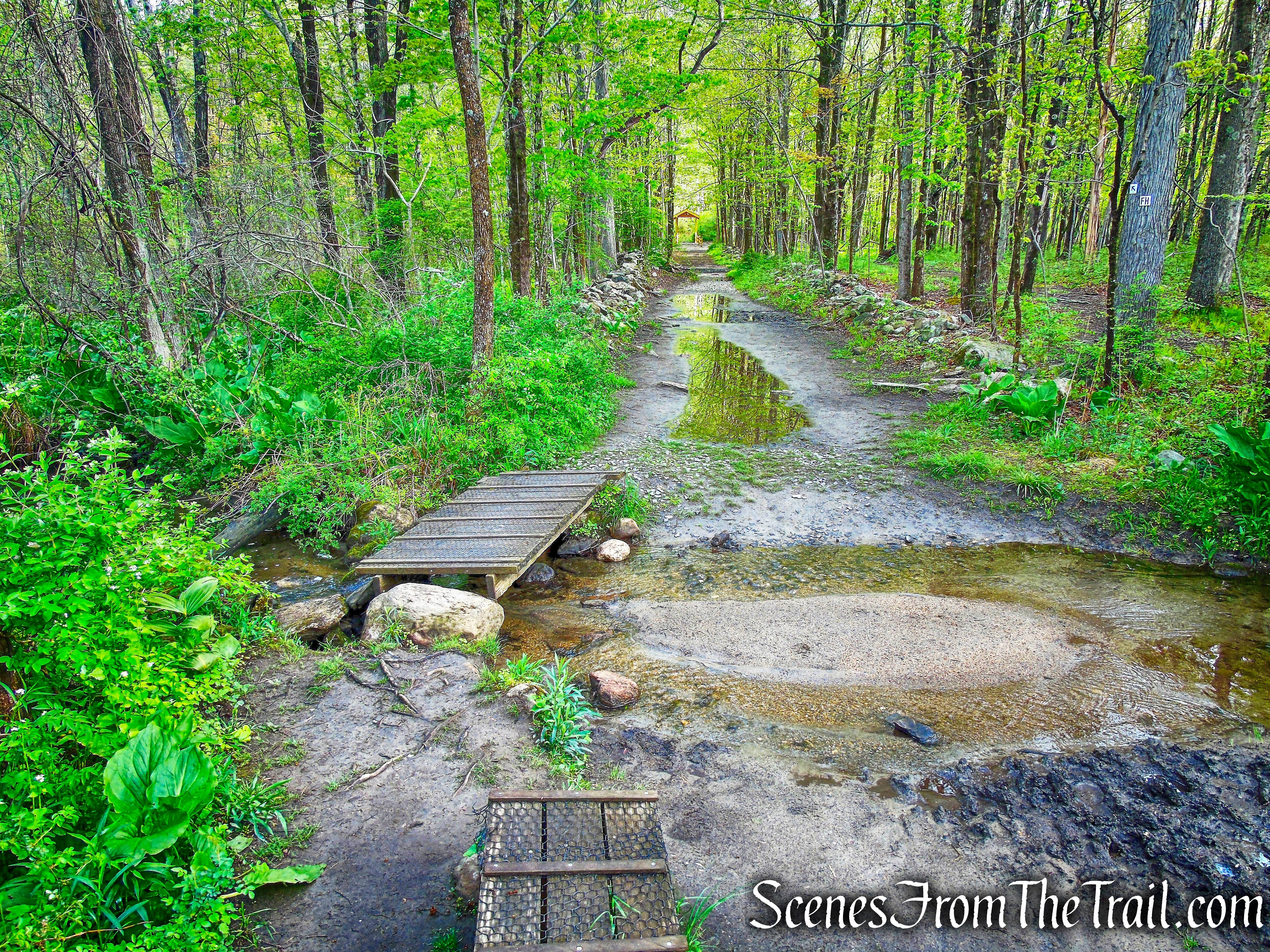 Fox Hill Trail - Ward Pound Ridge Reservation