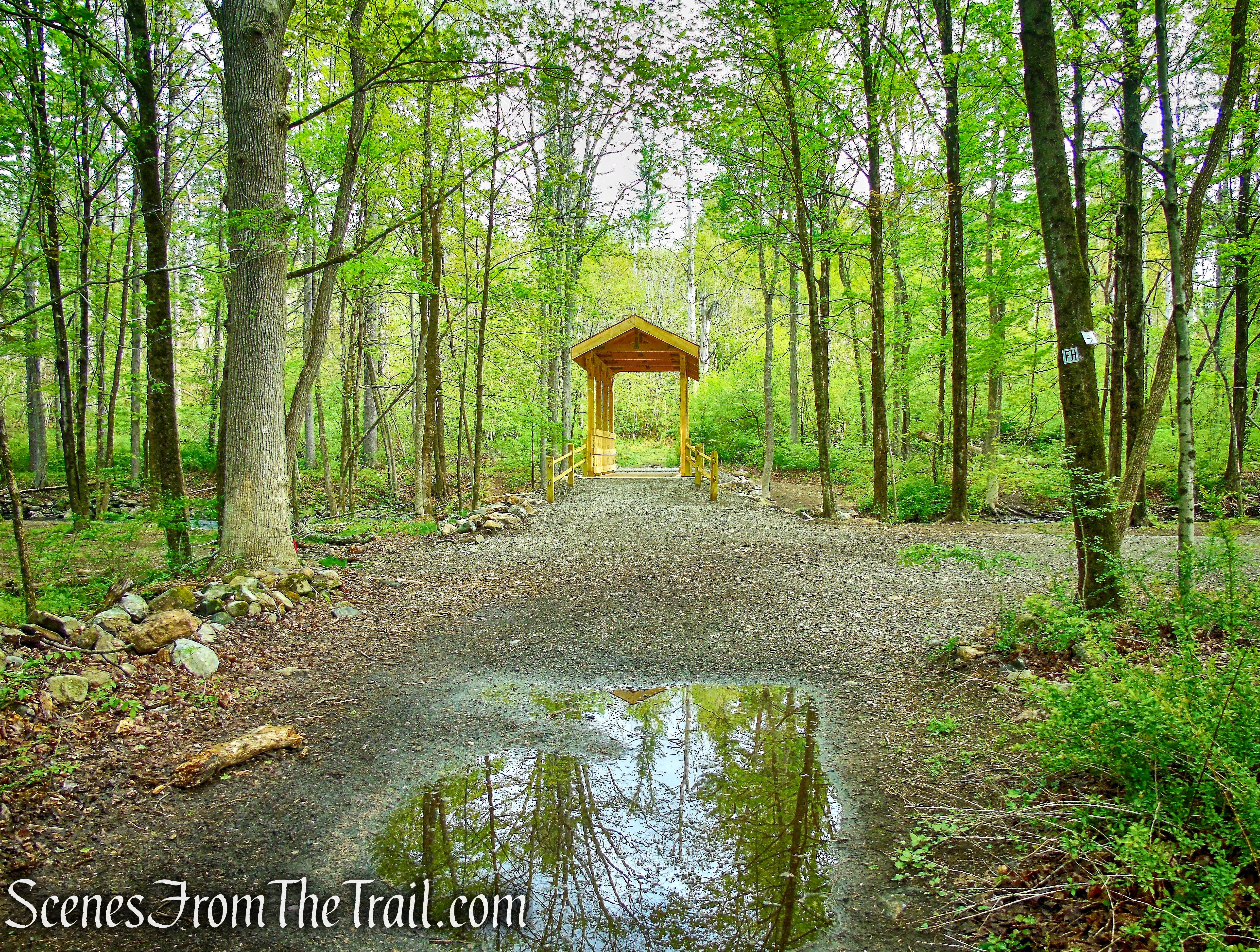 Fox Hill Trail - Ward Pound Ridge Reservation