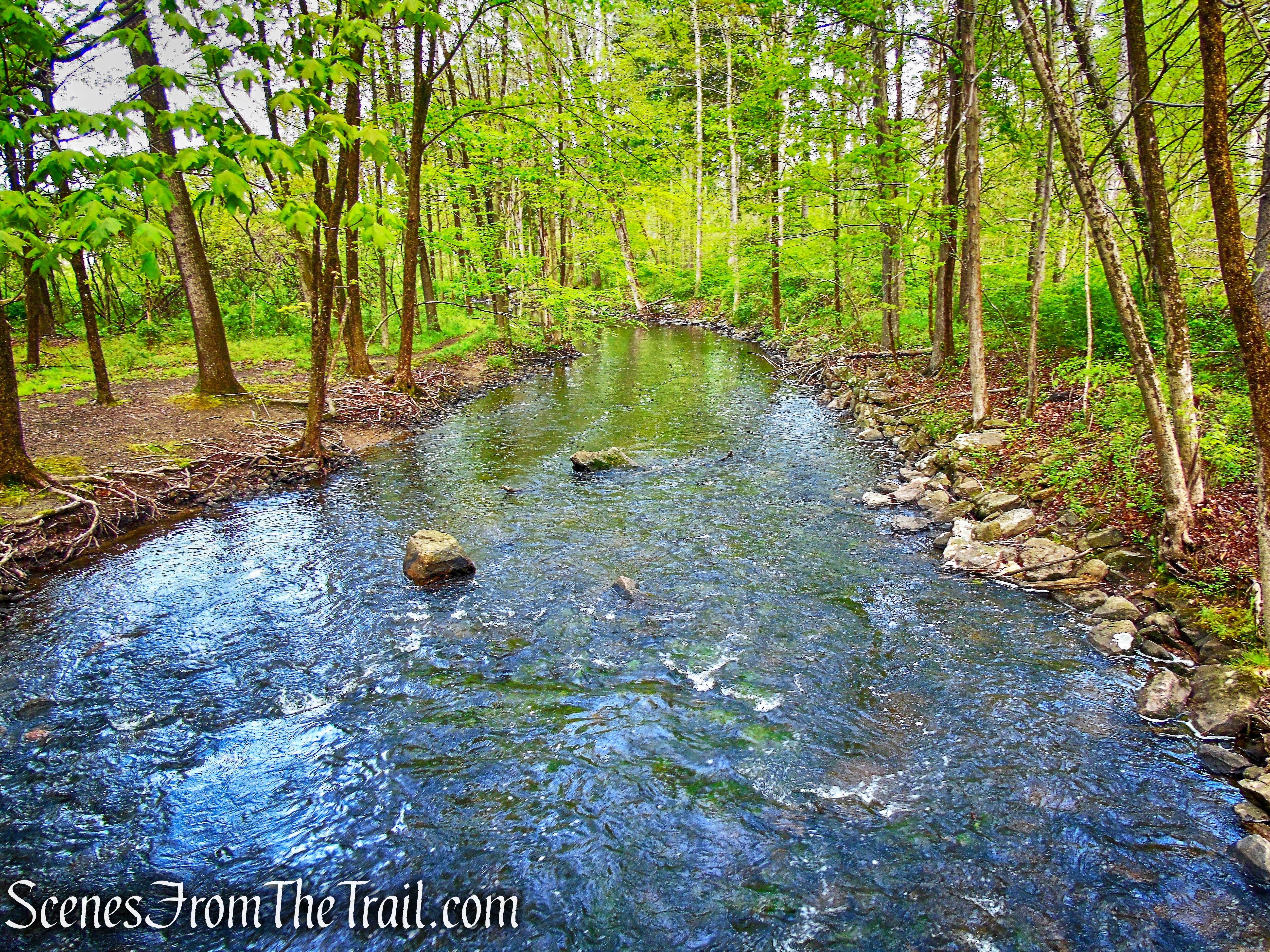 Cross River - Ward Pound Ridge Reservation