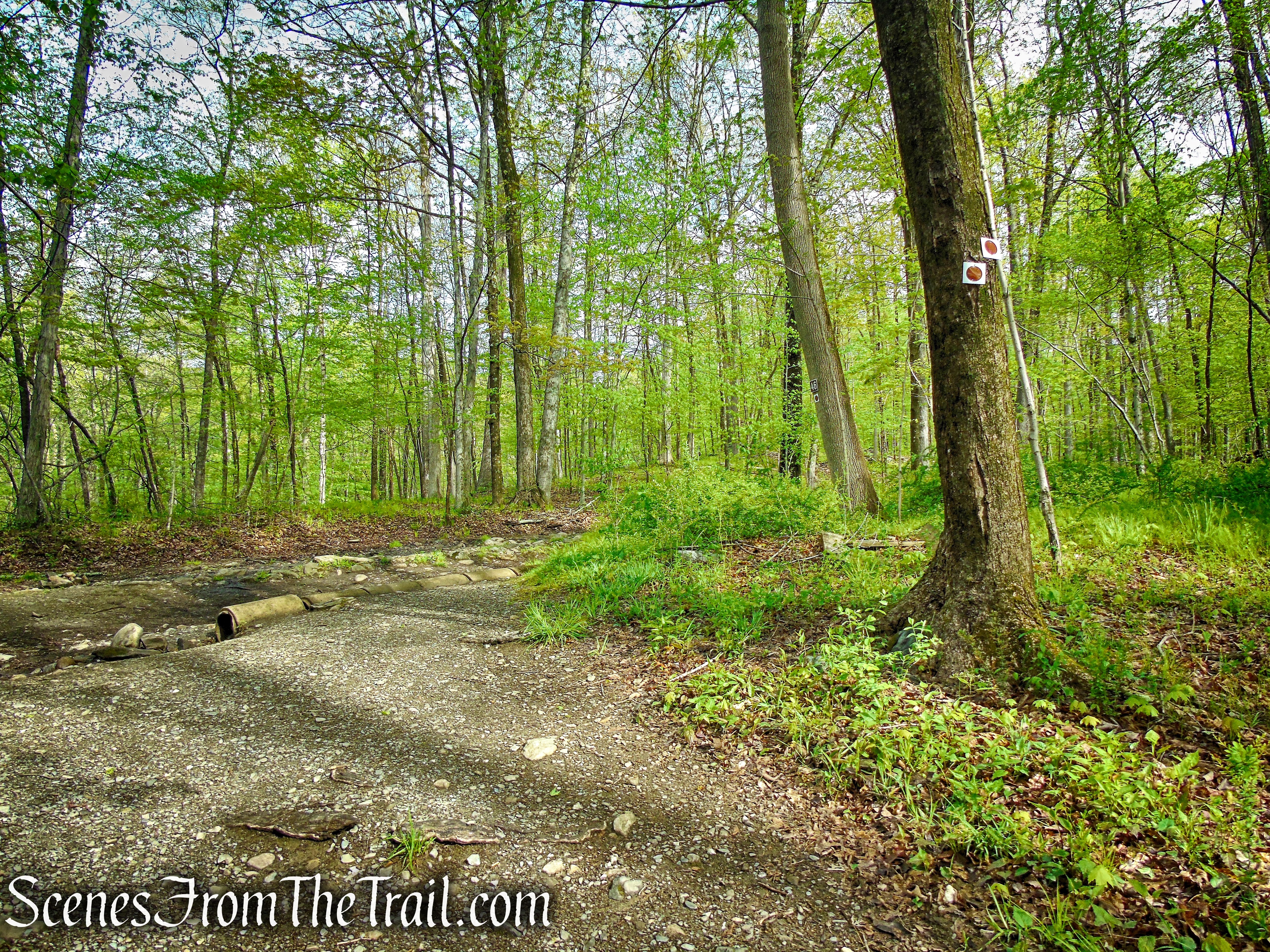 Brown Trail - Ward Pound Ridge Reservation