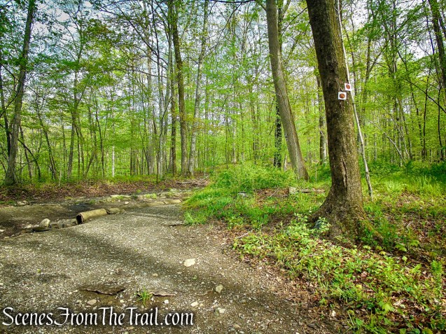 Brown Trail - Ward Pound Ridge Reservation