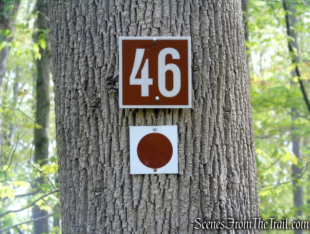 Brown Trail - Ward Pound Ridge Reservation