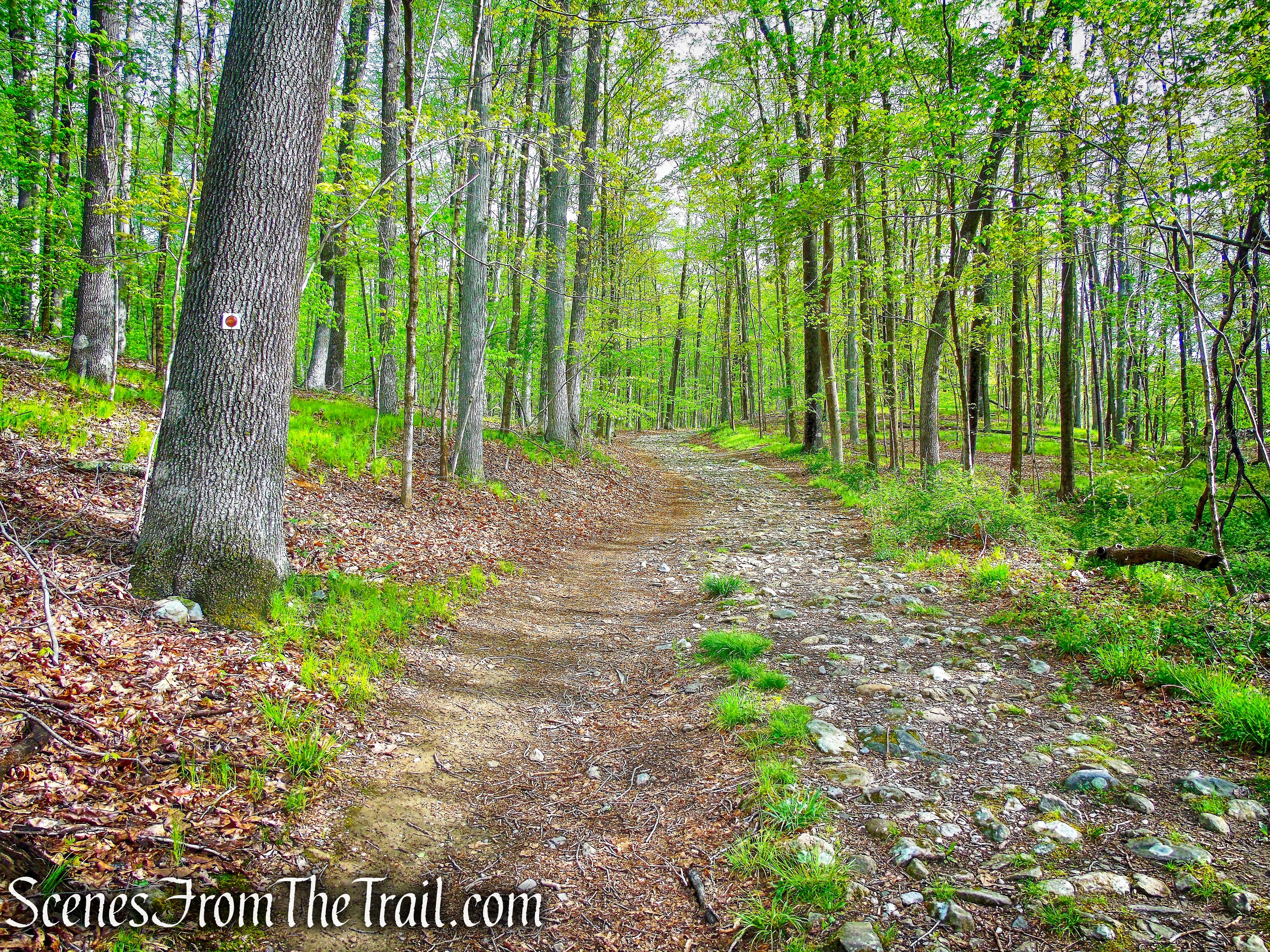 Brown Trail - Ward Pound Ridge Reservation