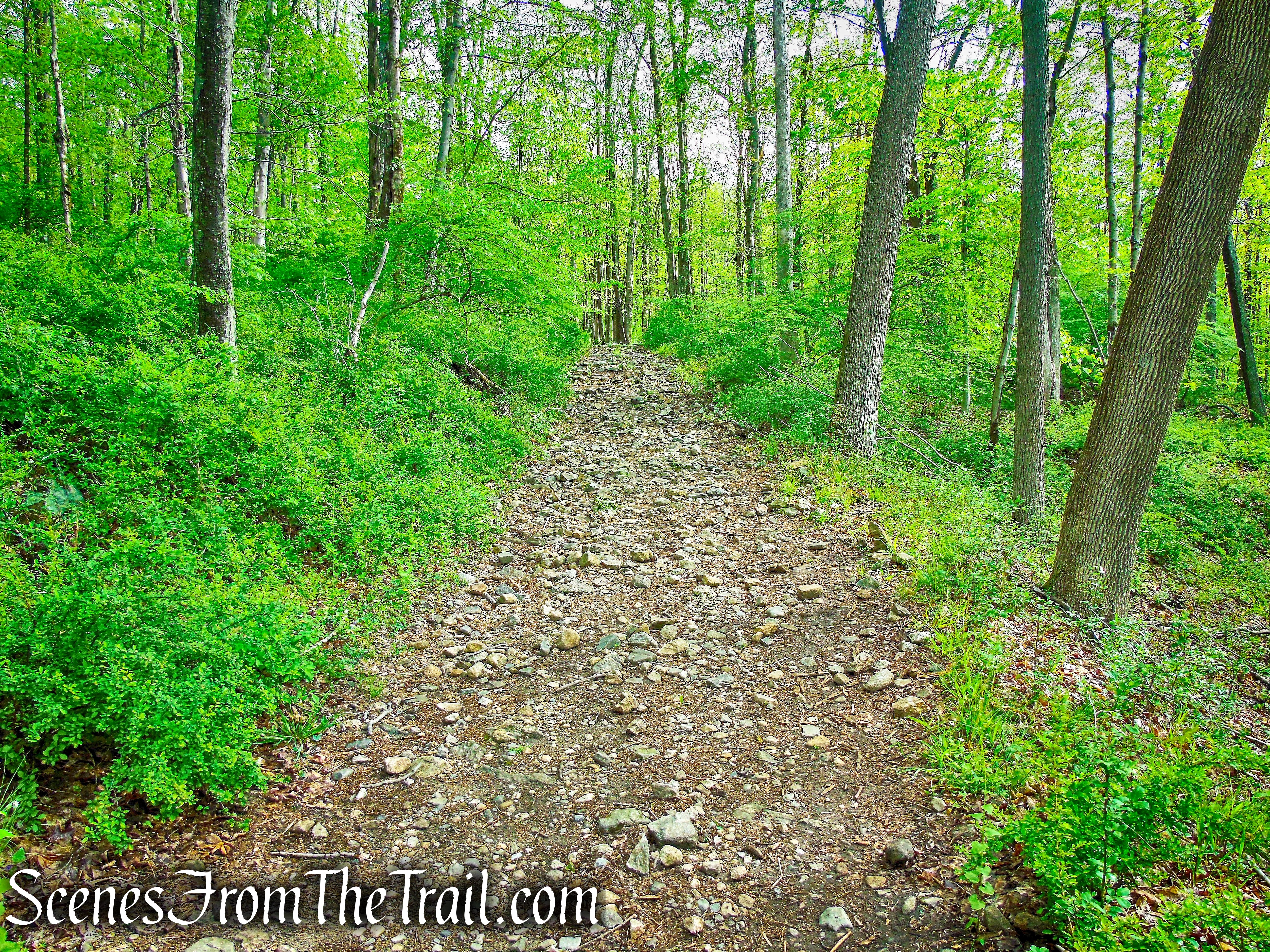 Brown Trail - Ward Pound Ridge Reservation