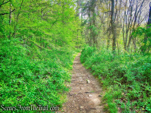 Brown Trail - Ward Pound Ridge Reservation