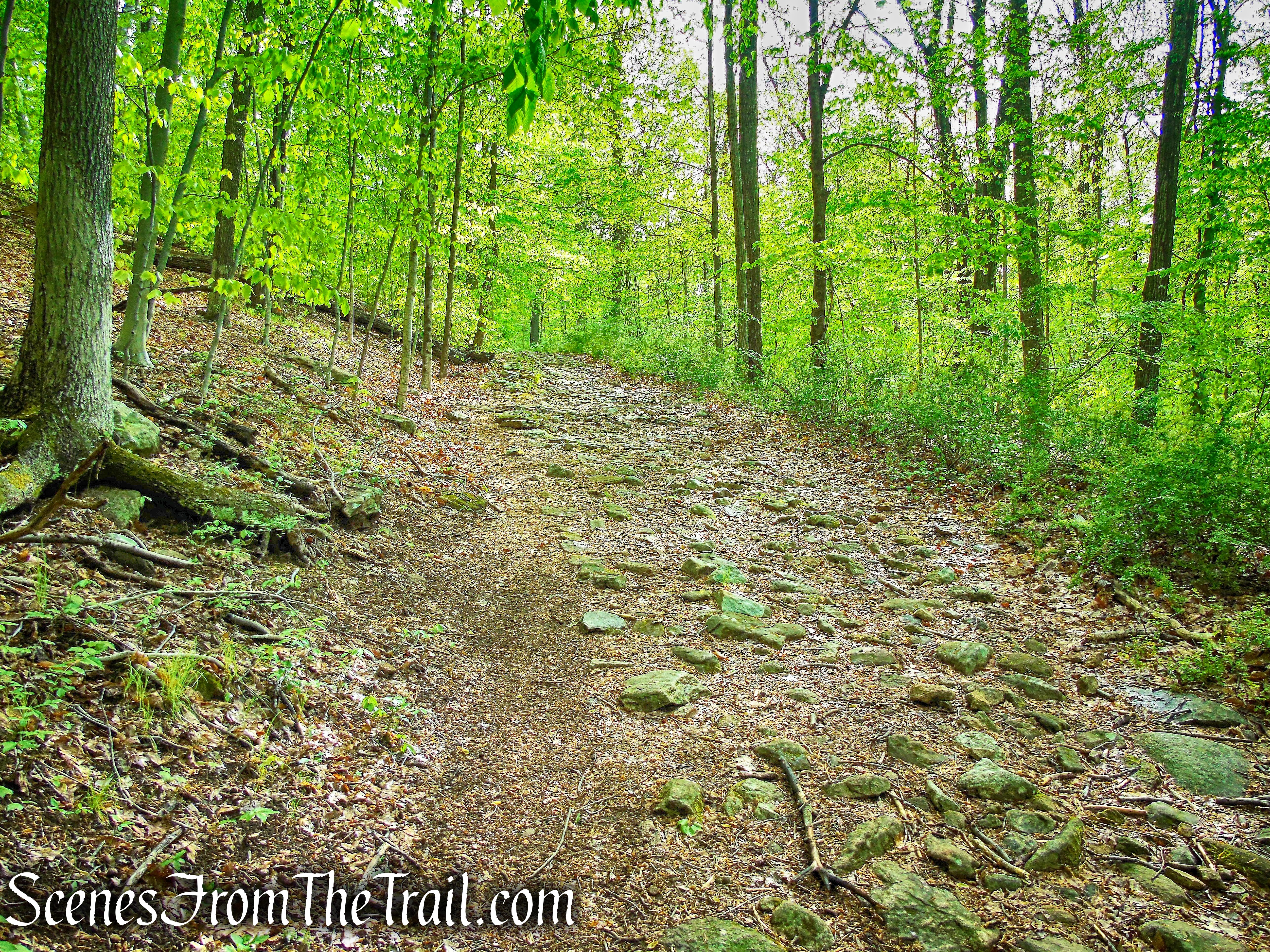 Brown Trail - Ward Pound Ridge Reservation