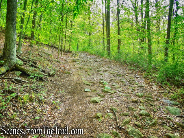 Brown Trail - Ward Pound Ridge Reservation