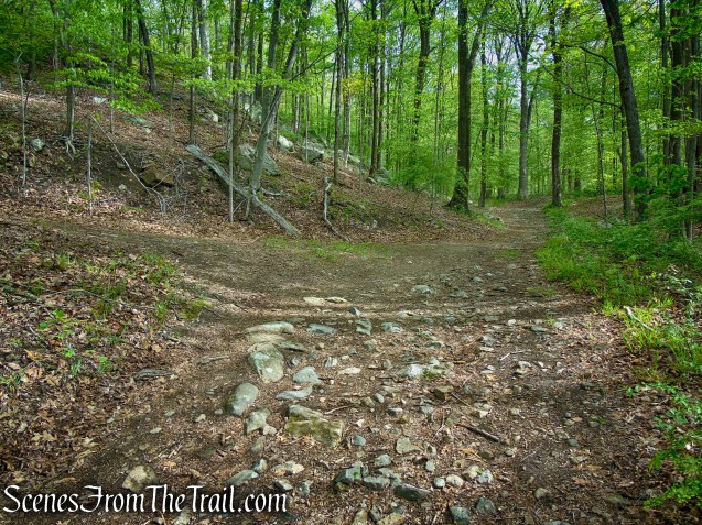 Brown Trail - Ward Pound Ridge Reservation