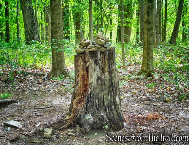 turn left at junction 5