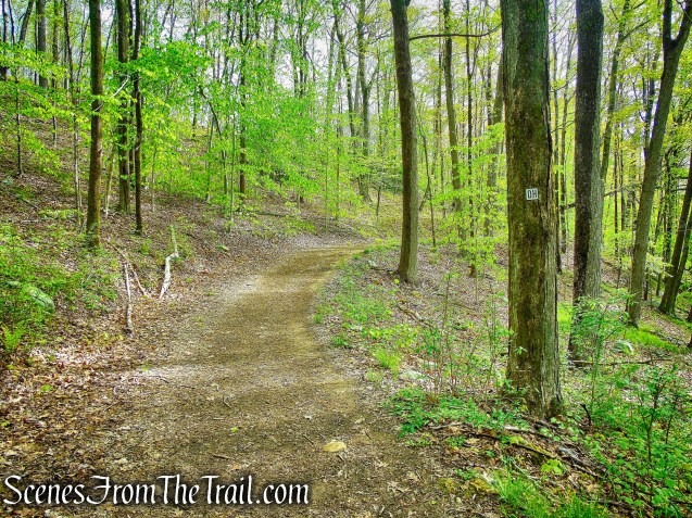 Deer Hollow Trail - Ward Pound Ridge Reservation