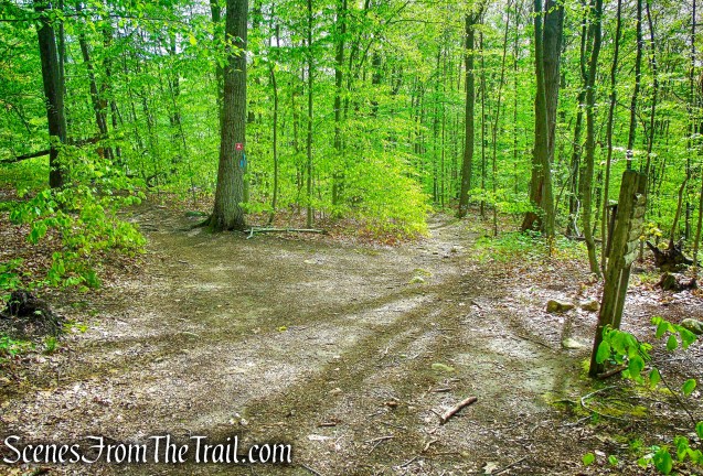 Deer Hollow Trail - Ward Pound Ridge Reservation