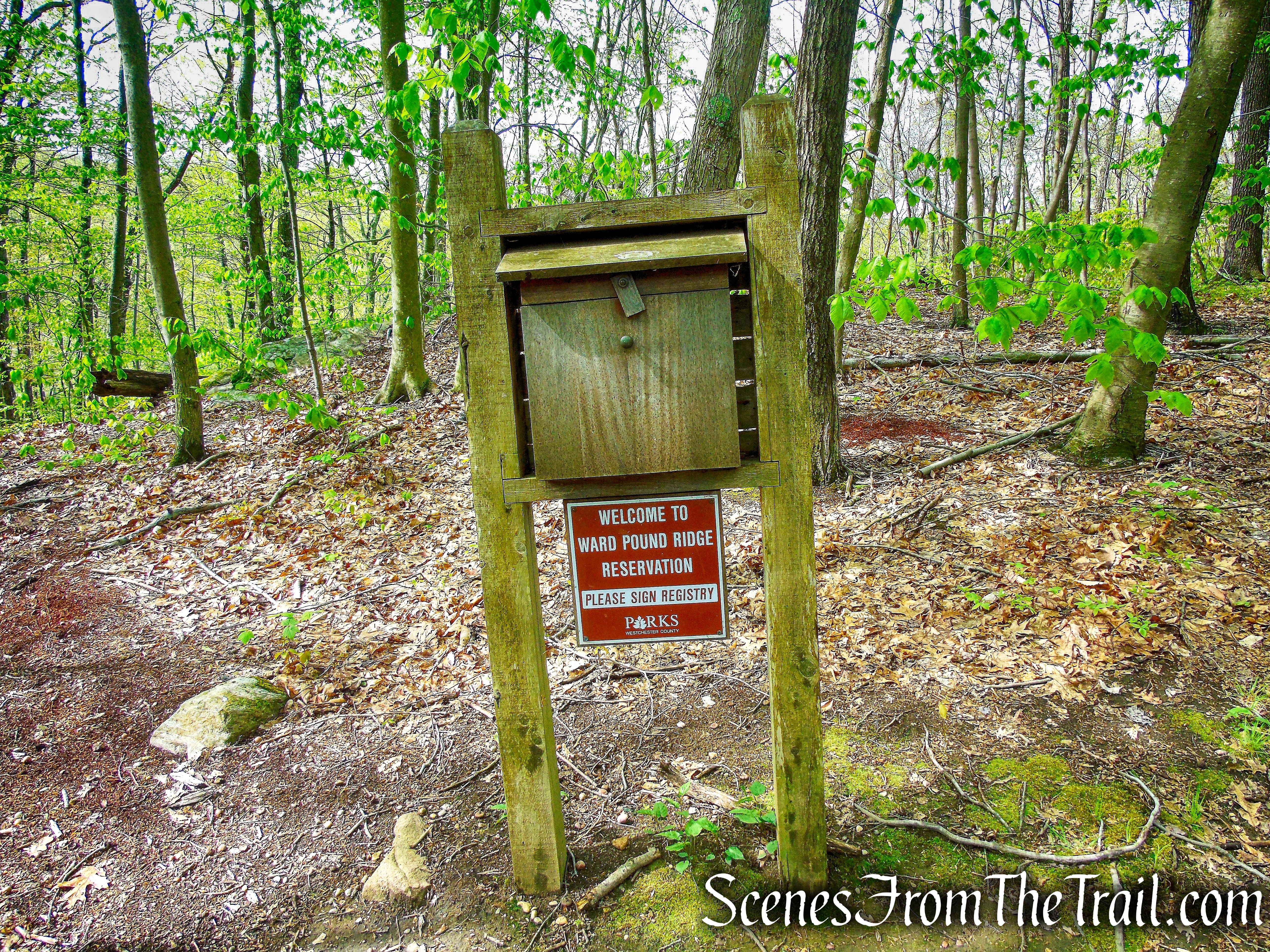 Deer Hollow Trail - Ward Pound Ridge Reservation