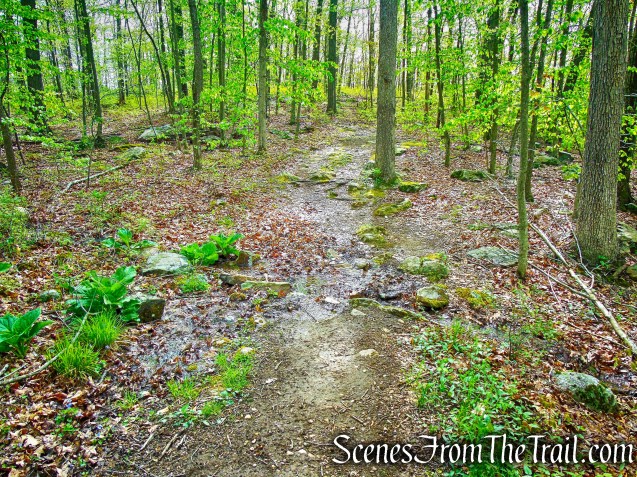 Deer Hollow Trail - Ward Pound Ridge Reservation
