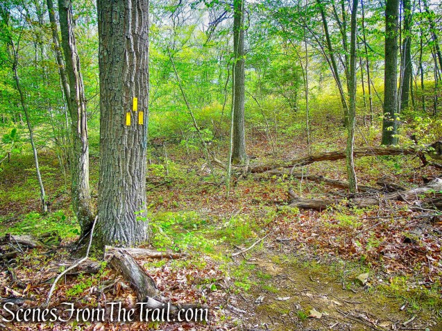 Deer Hollow Trail - Ward Pound Ridge Reservation