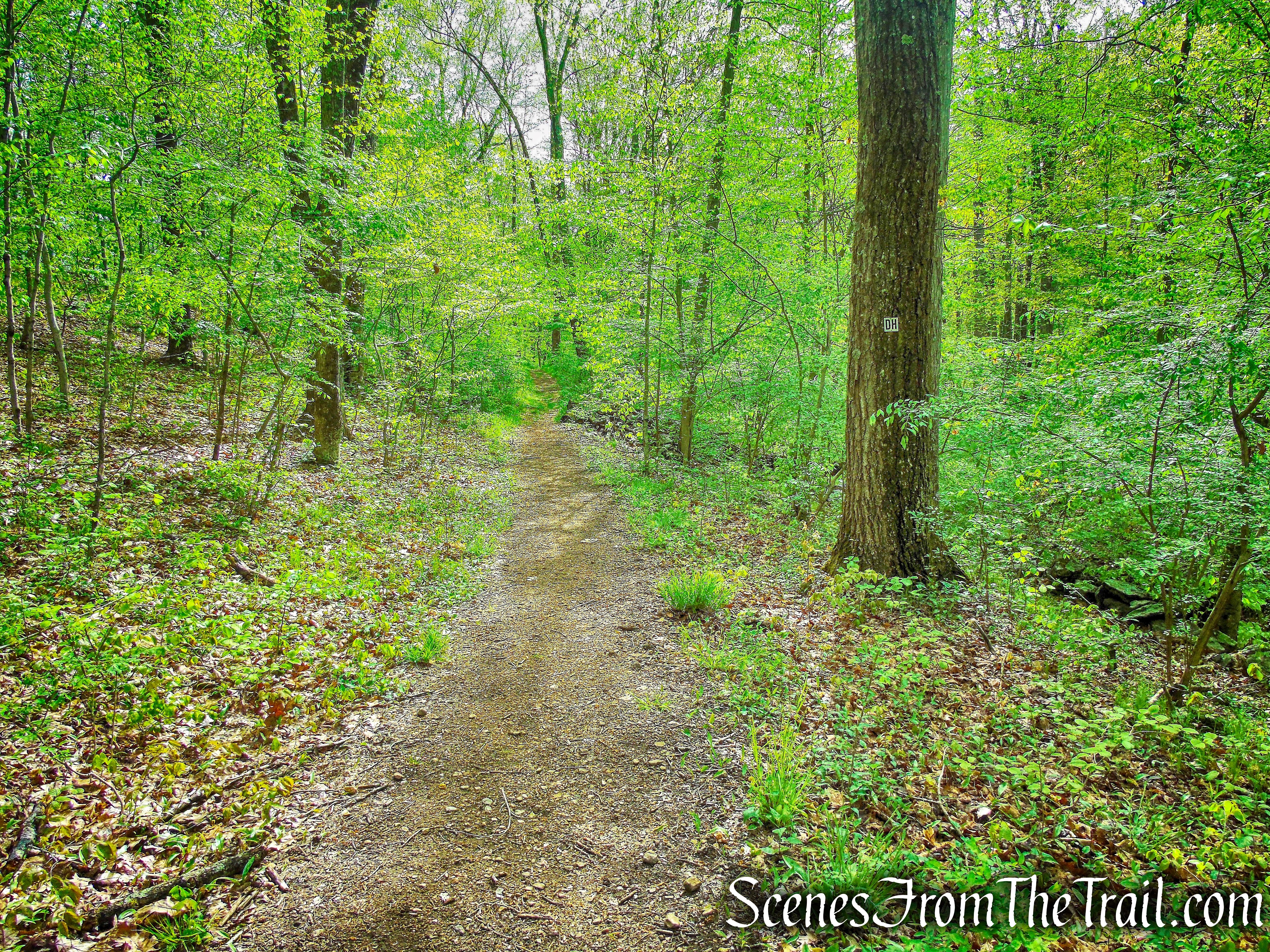 Deer Hollow Trail - Ward Pound Ridge Reservation