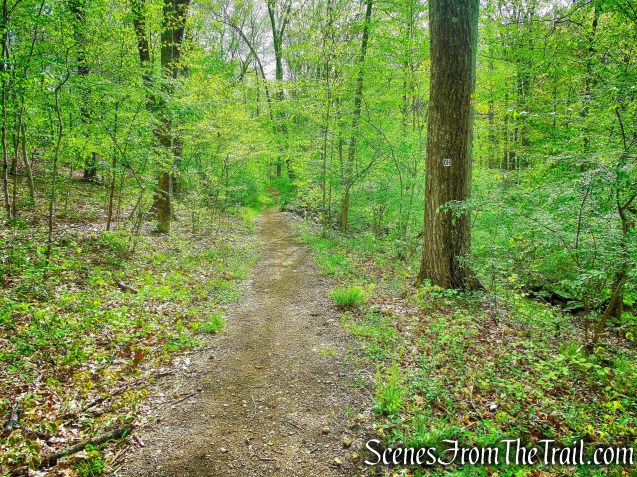 Deer Hollow Trail - Ward Pound Ridge Reservation