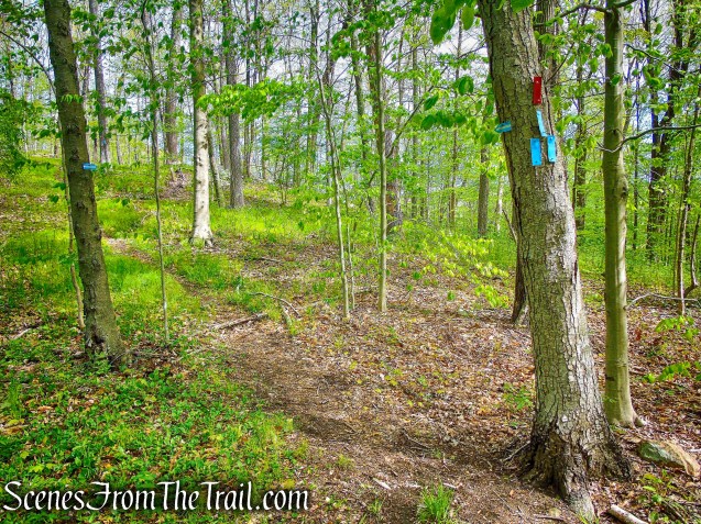 Deer Hollow Trail - Ward Pound Ridge Reservation