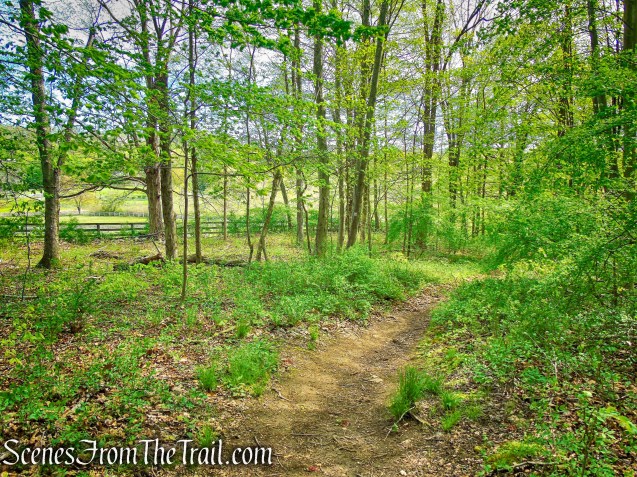 Deer Hollow Trail - Ward Pound Ridge Reservation