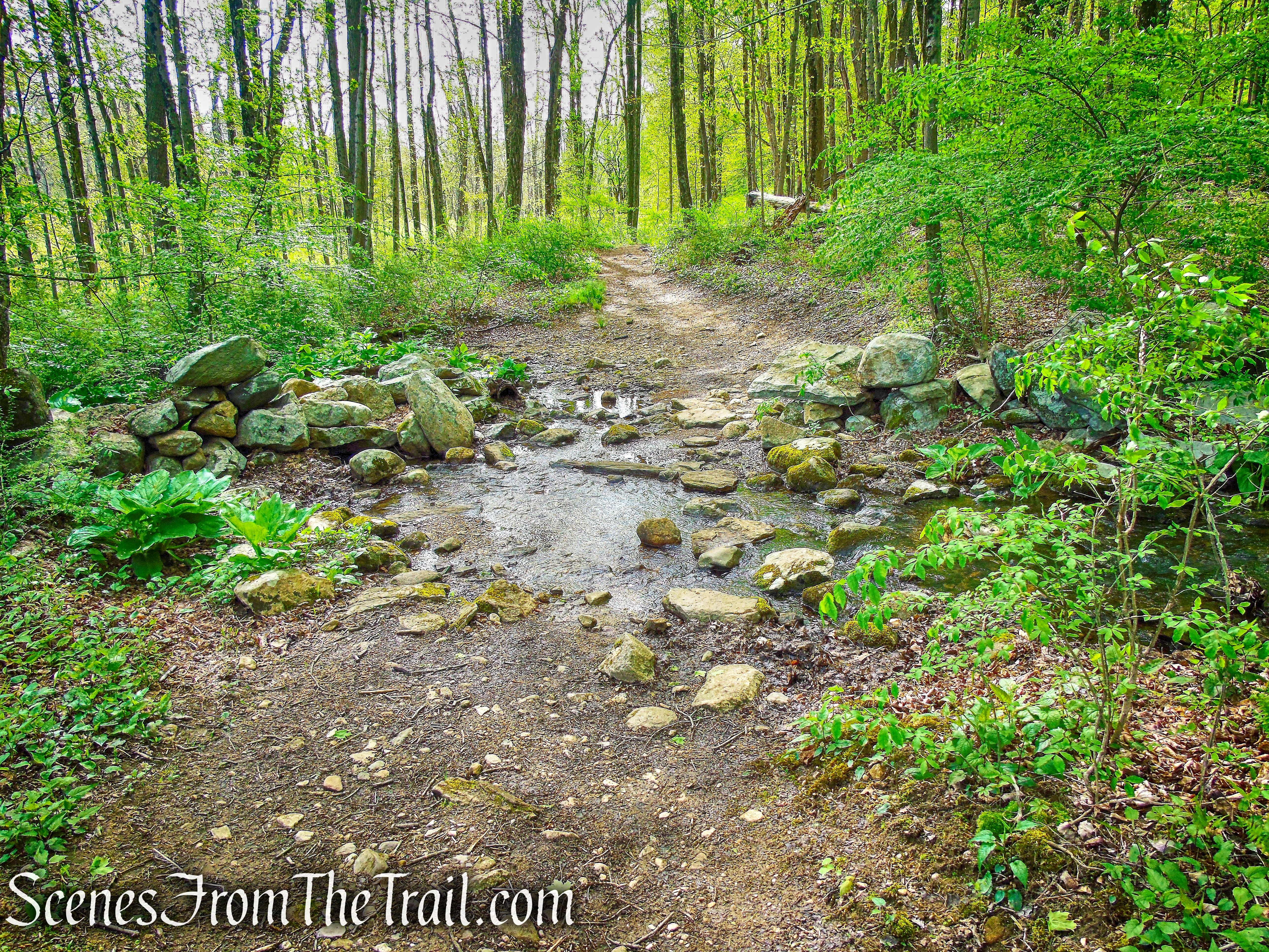 Deer Hollow Trail - Ward Pound Ridge Reservation