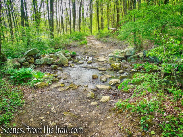 Deer Hollow Trail - Ward Pound Ridge Reservation