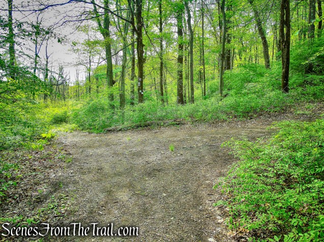 Deer Hollow Trail - Ward Pound Ridge Reservation