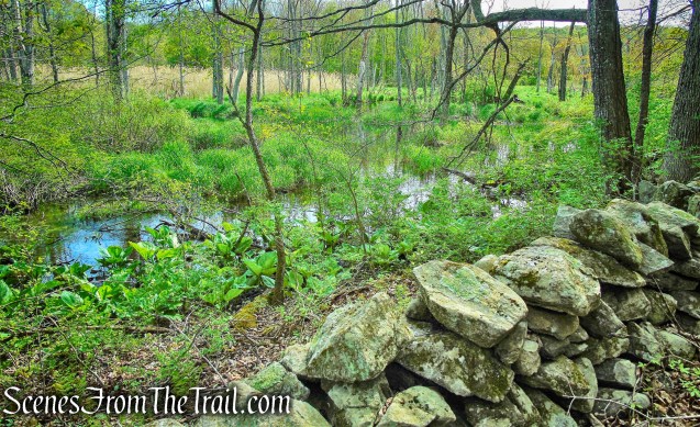 Deer Hollow Trail - Ward Pound Ridge Reservation