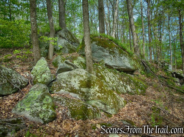Deer Hollow Trail - Ward Pound Ridge Reservation