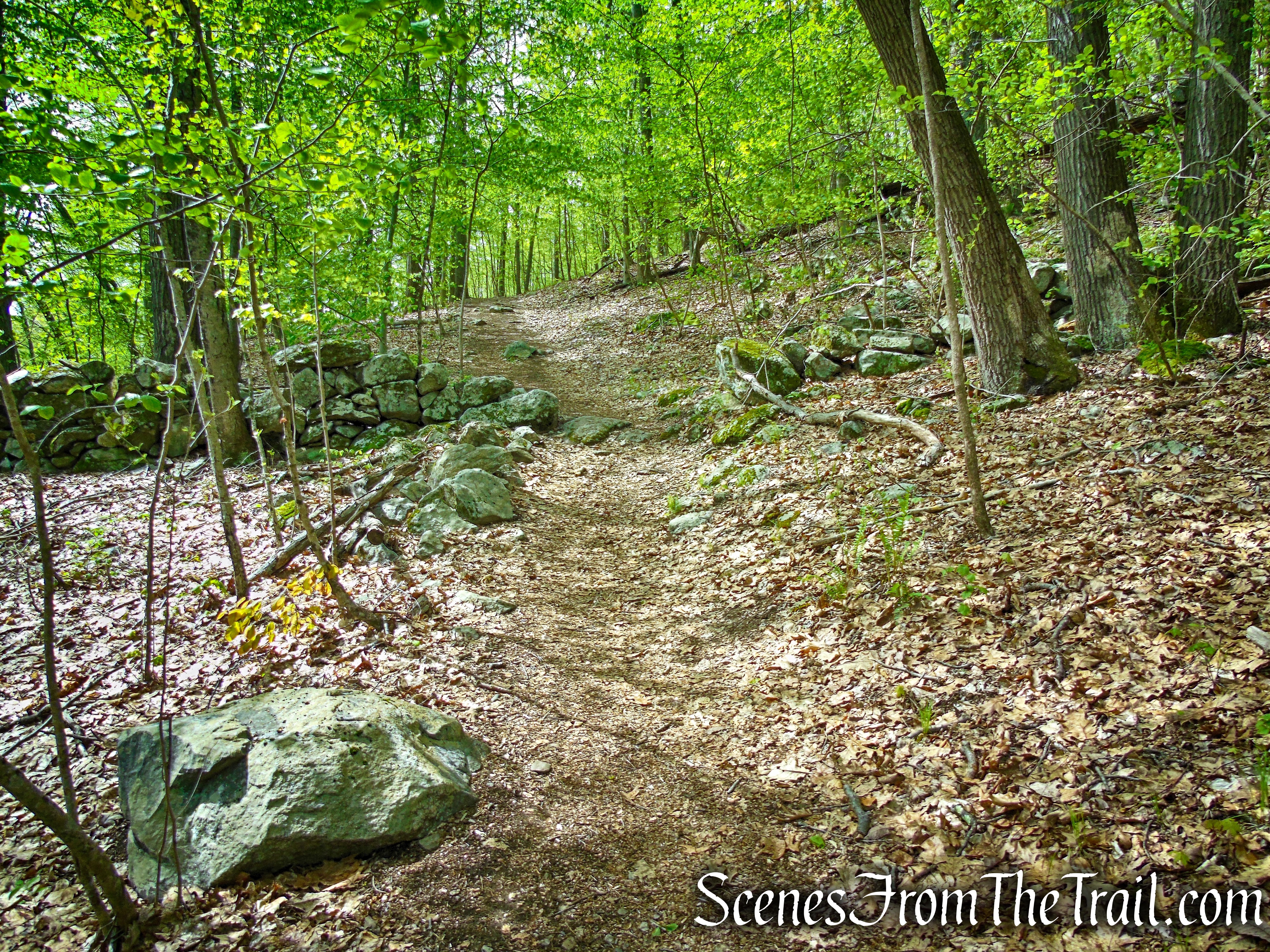 Deer Hollow Trail - Ward Pound Ridge Reservation