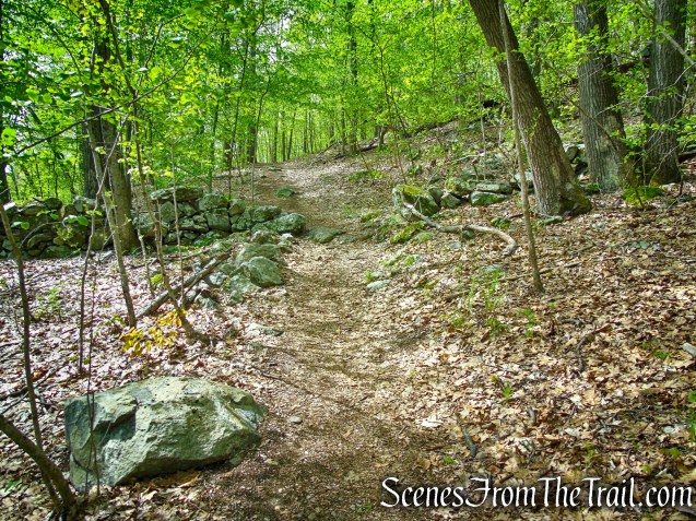 Deer Hollow Trail - Ward Pound Ridge Reservation