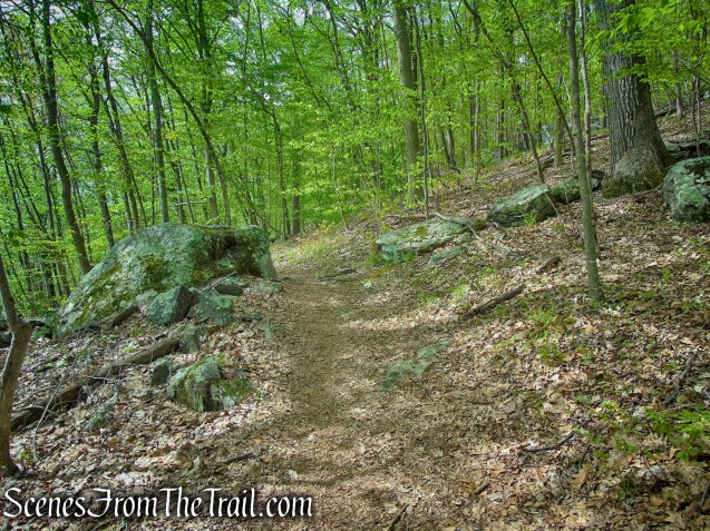 Deer Hollow Trail - Ward Pound Ridge Reservation