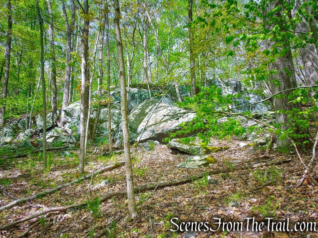 Deer Hollow Trail - Ward Pound Ridge Reservation
