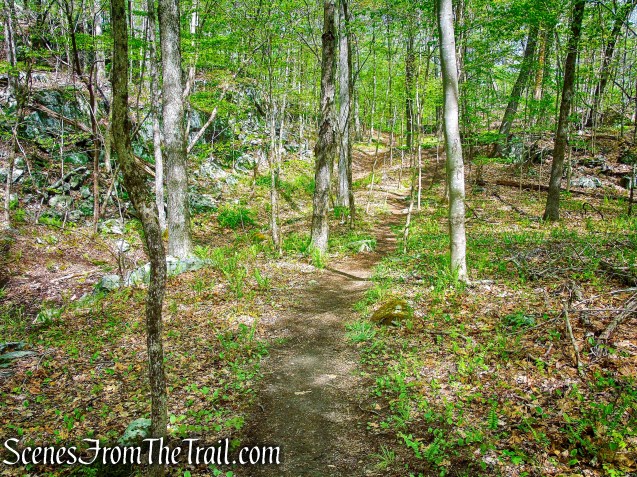 Deer Hollow Trail - Ward Pound Ridge Reservation