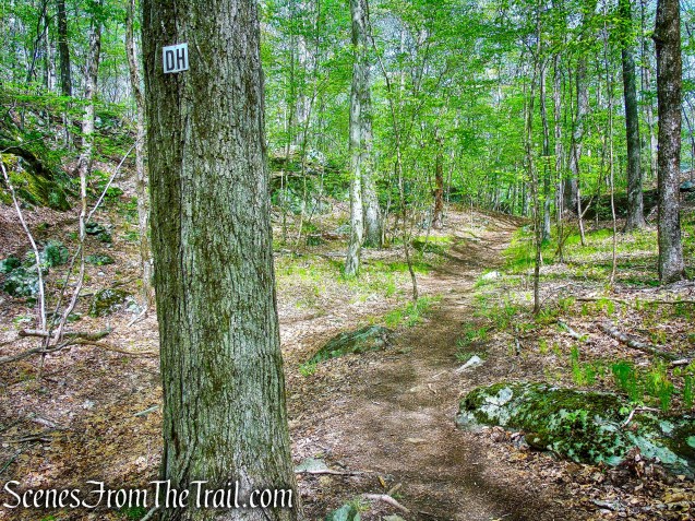 Deer Hollow Trail - Ward Pound Ridge Reservation