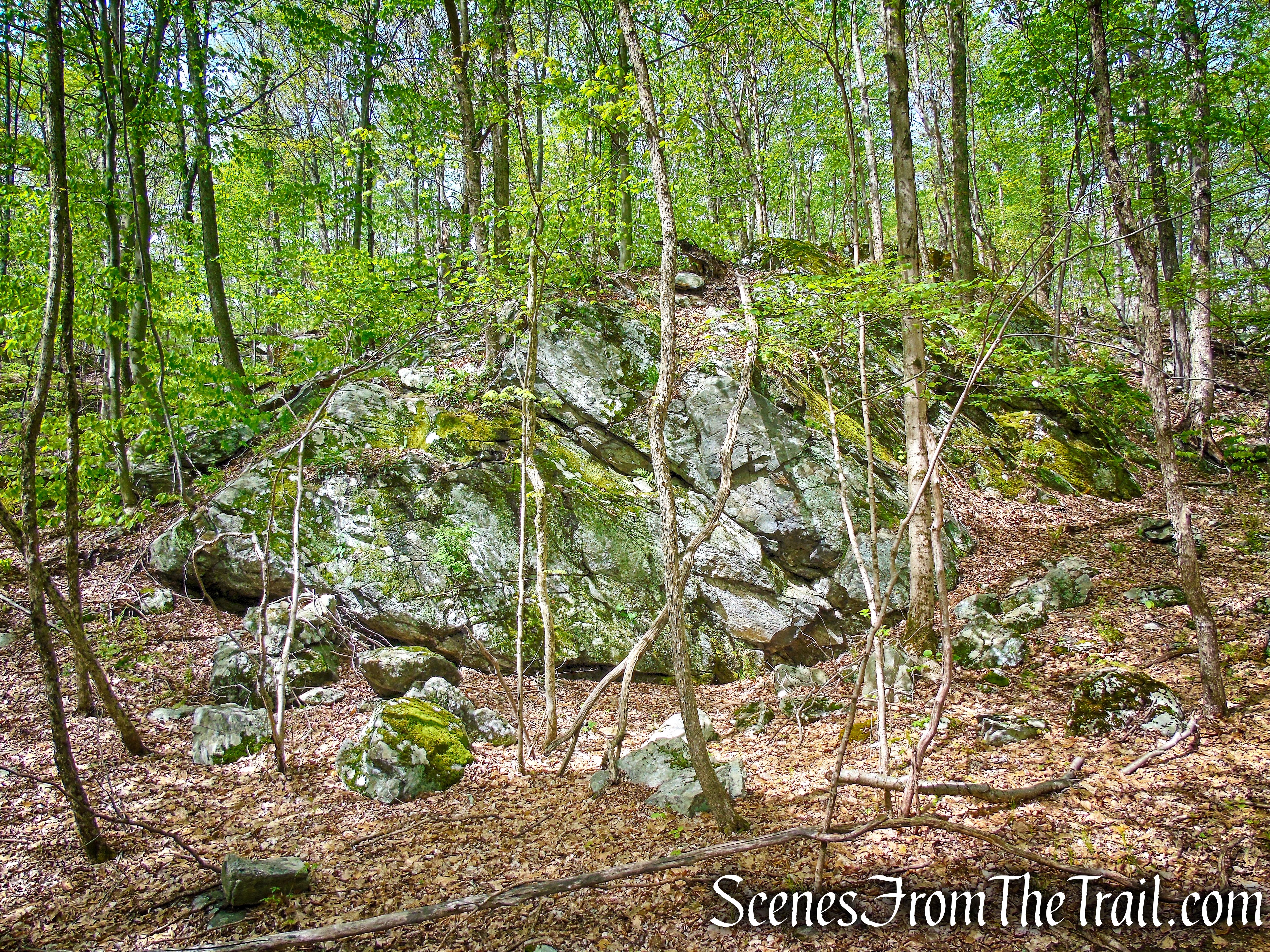 Deer Hollow Trail - Ward Pound Ridge Reservation