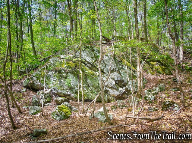 Deer Hollow Trail - Ward Pound Ridge Reservation