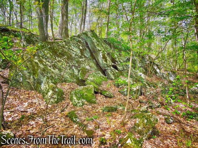 Deer Hollow Trail - Ward Pound Ridge Reservation