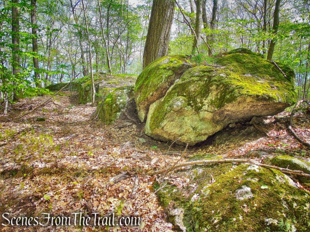 Deer Hollow Trail - Ward Pound Ridge Reservation