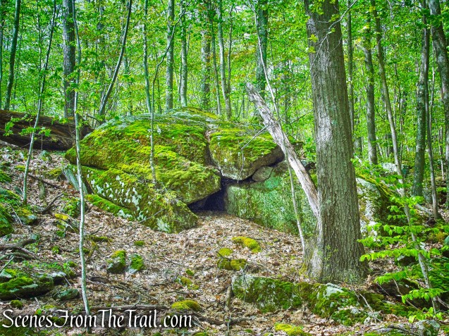 Deer Hollow Trail - Ward Pound Ridge Reservation