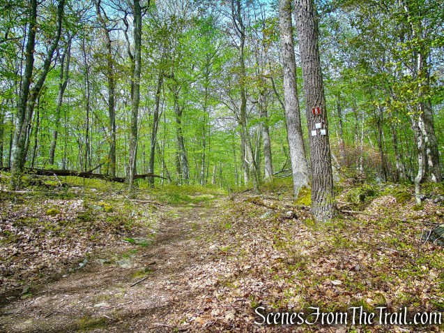 turn right at junction 8