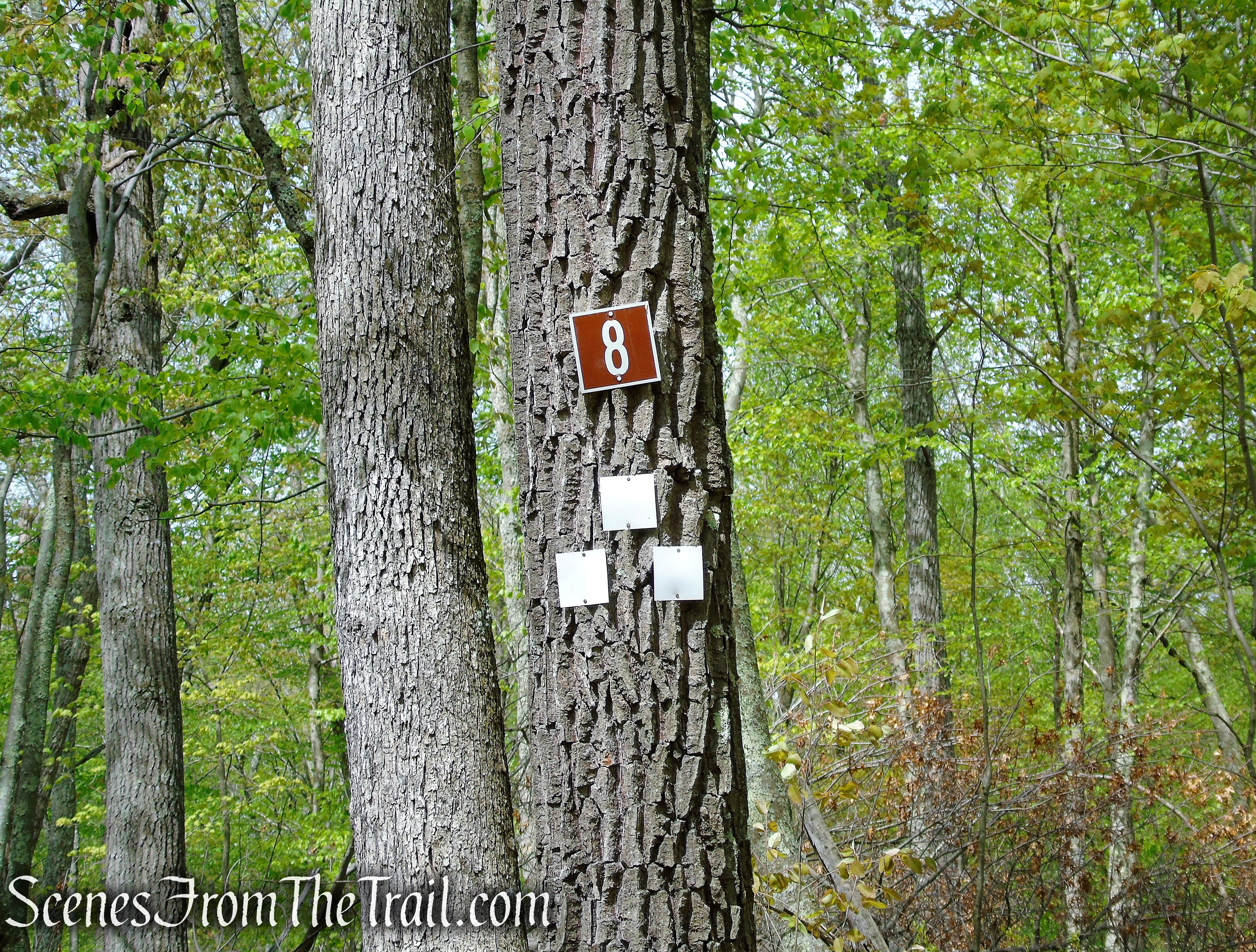 turn right at junction 8