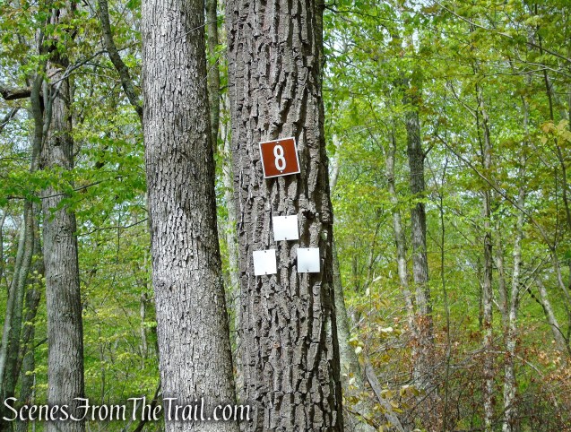 turn right at junction 8