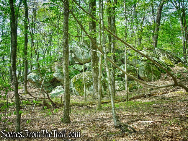White Trail - Ward Pound Ridge Reservation